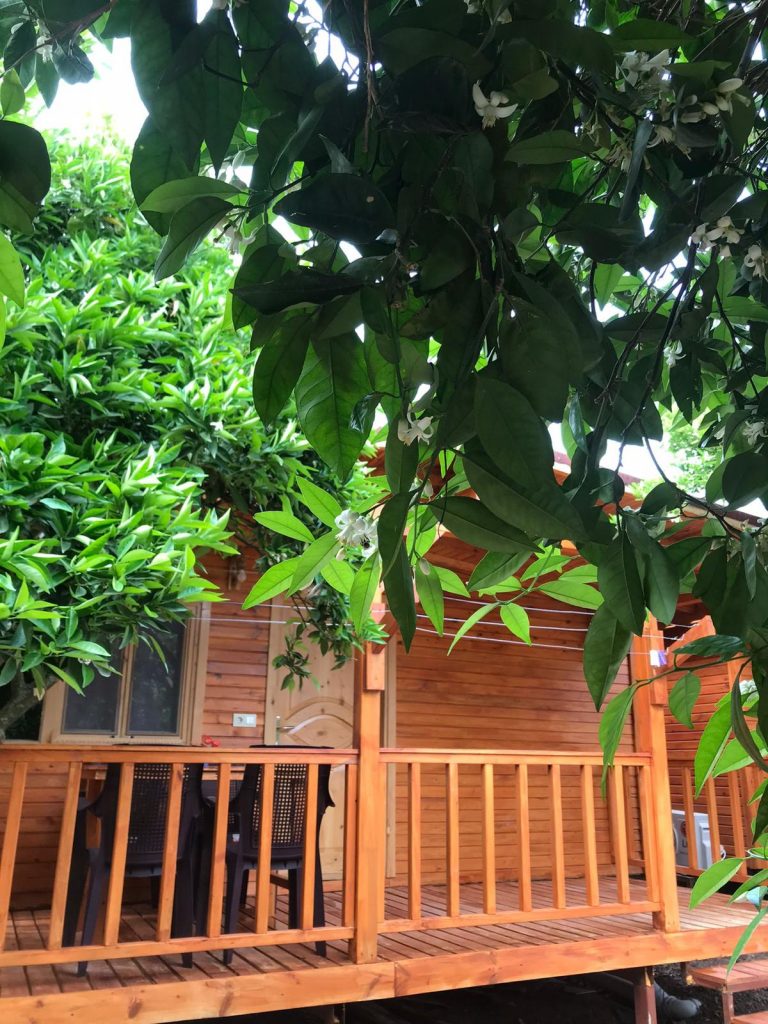 Adrasan Medcezir Bungalov Evleri